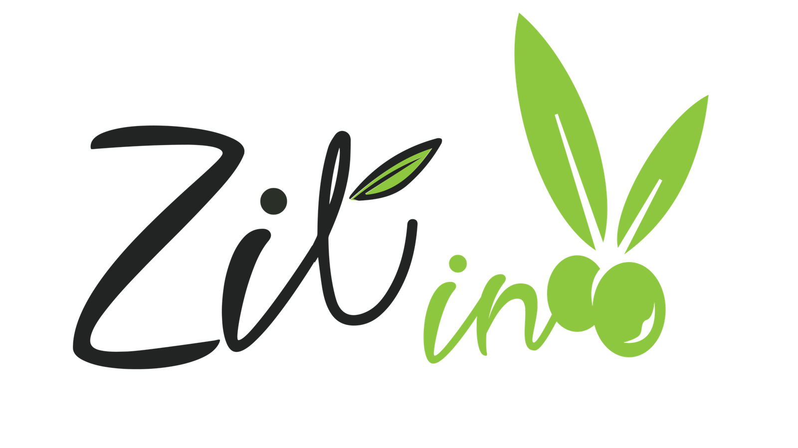 logo zitino